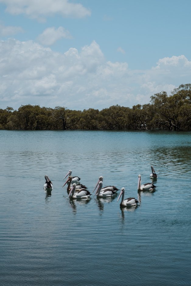 jana meerman south west rocks nsw australia-2
