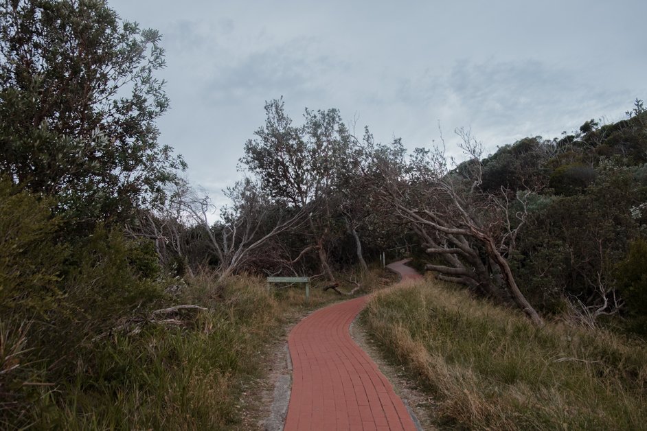 jana meerman tomaree head summit shoal bay australia-1