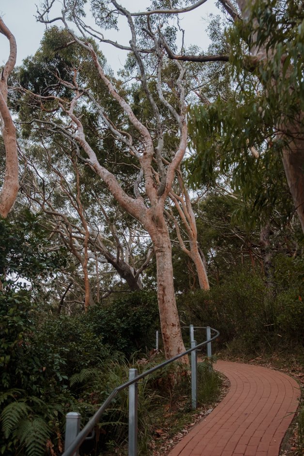jana meerman tomaree head summit shoal bay australia-1