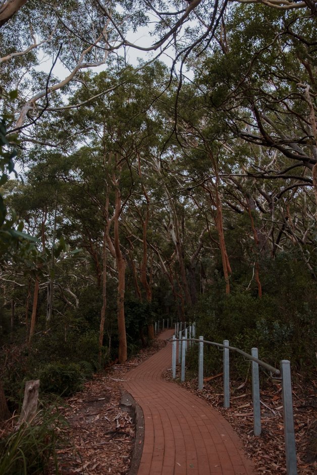 jana meerman tomaree head summit shoal bay australia-1