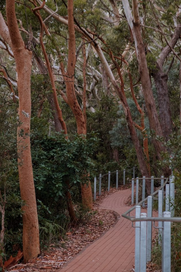 jana meerman tomaree head summit shoal bay australia-1