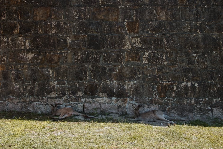 jana meerman trial bay gaol nsw australia-4