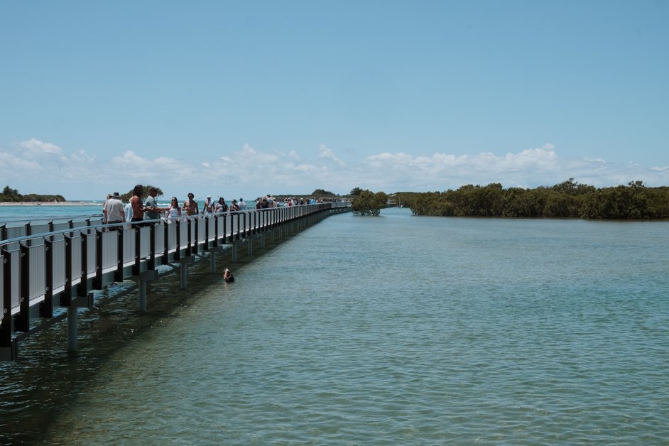 jana meerman urunga boardwalk australia-5