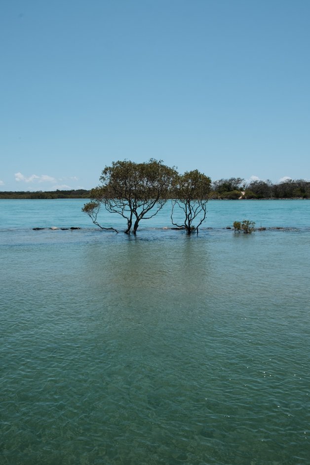 jana meerman urunga boardwalk australia-5
