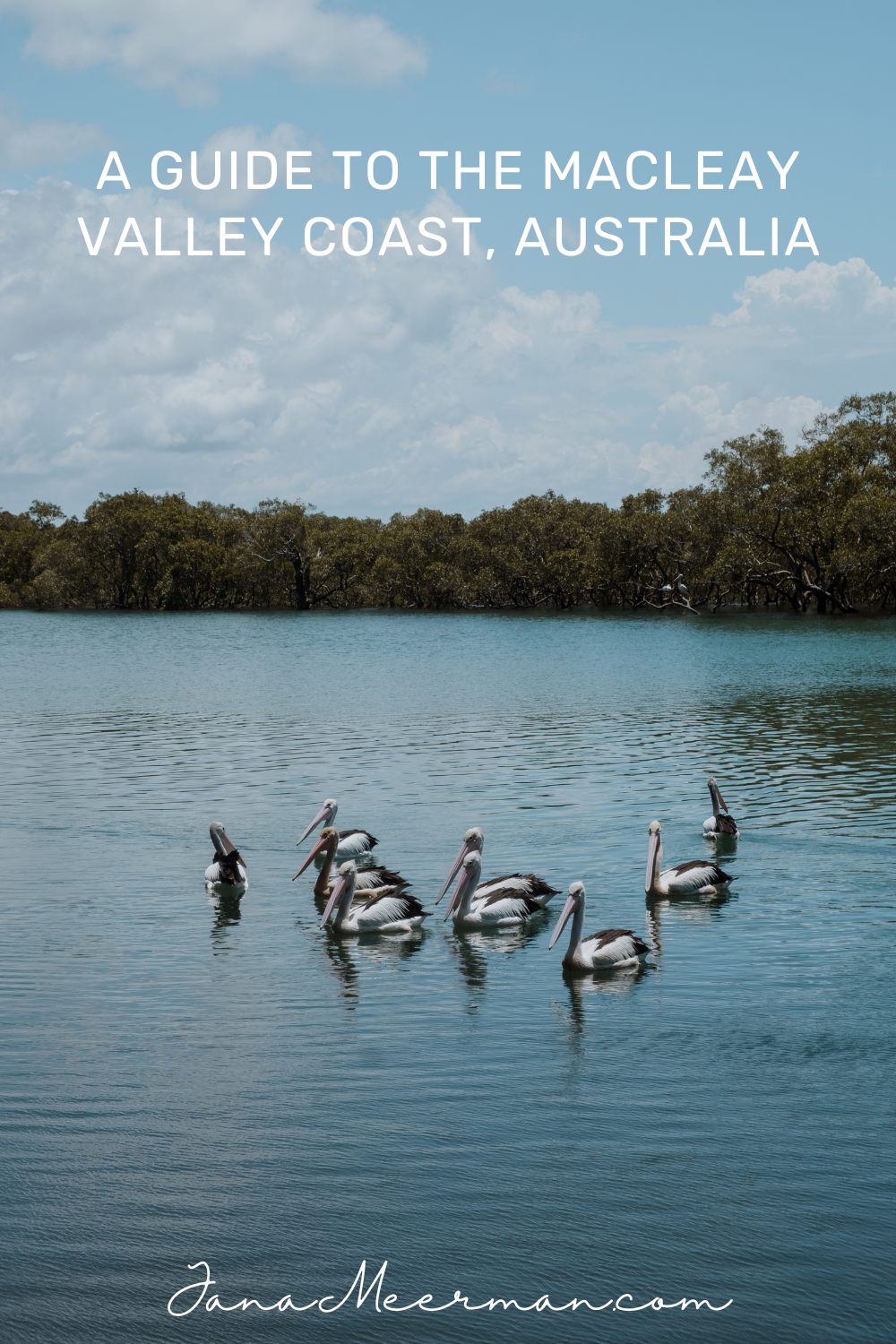 macleay valley coast