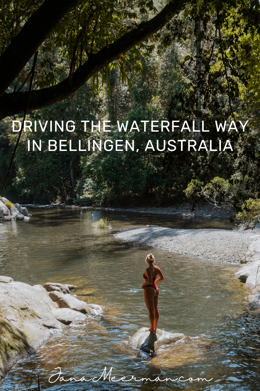 waterfall way bellingen (2)