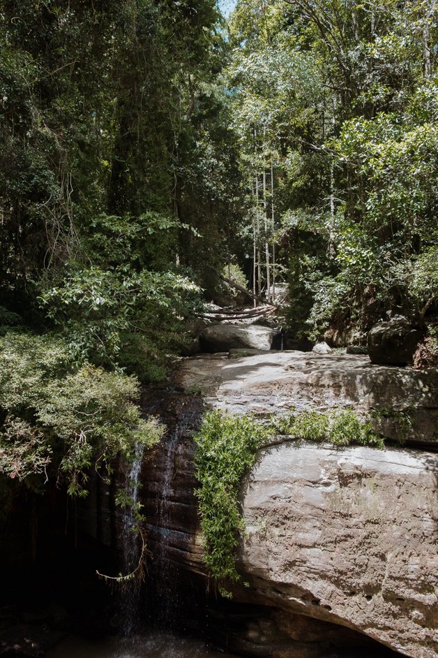jana meerman buderim forest park sunshine coast australia-9