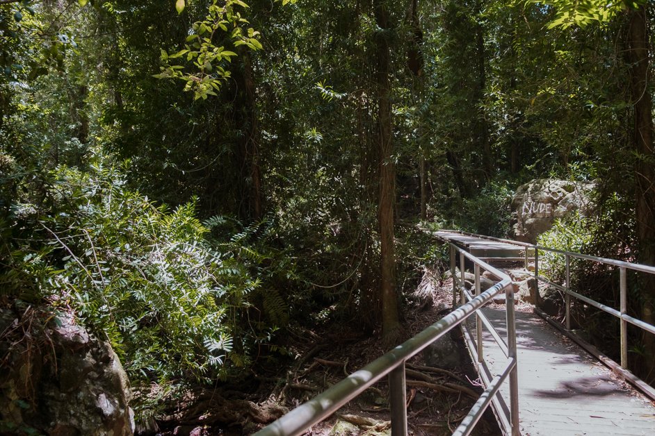 jana meerman buderim forest park sunshine coast australia-9