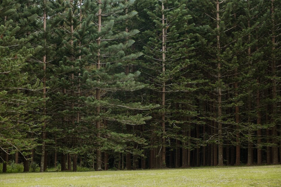 jana meerman norfolk island australia-129