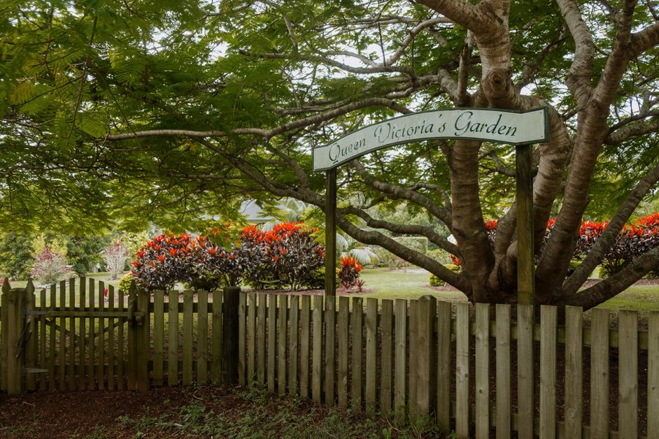 jana meerman norfolk island australia-145