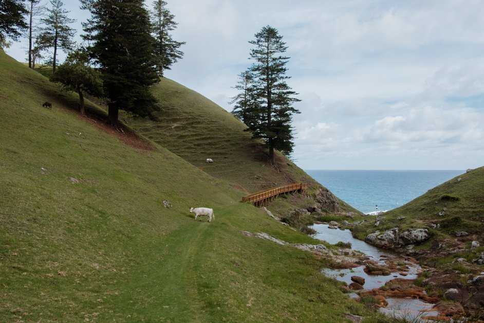 jana meerman norfolk island australia-198
