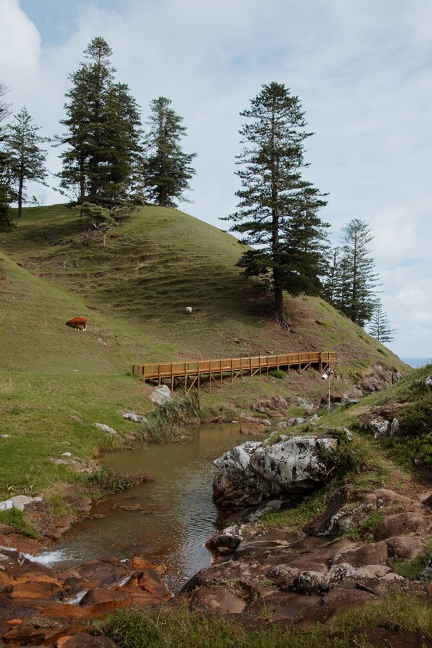 jana meerman norfolk island australia-198