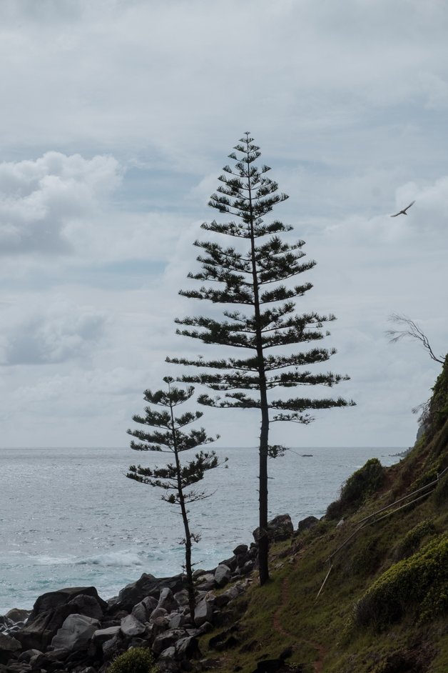jana meerman norfolk island australia-198