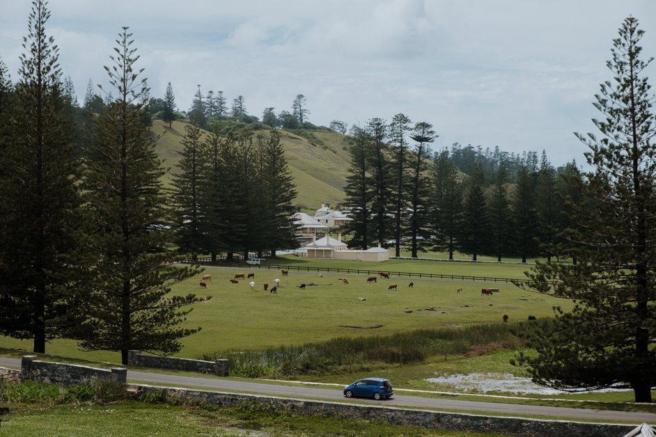 jana meerman norfolk island australia-212