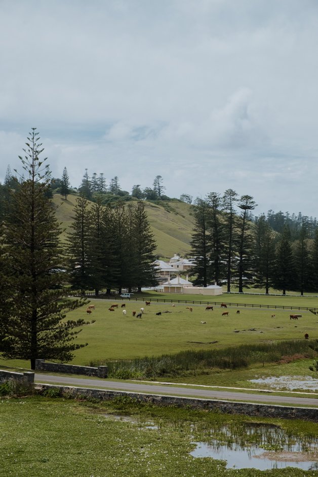 jana meerman norfolk island australia-212