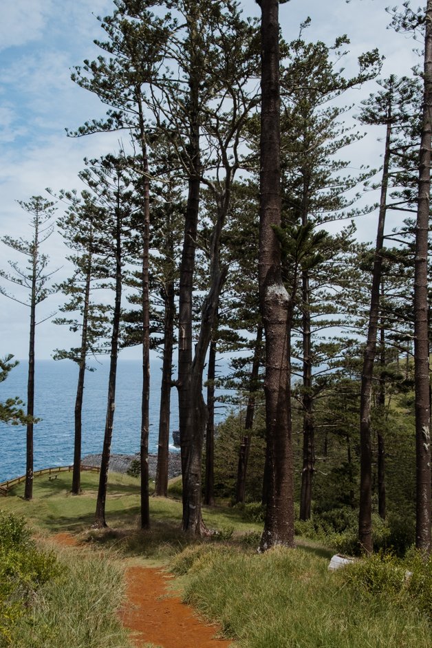 jana meerman norfolk island australia-230