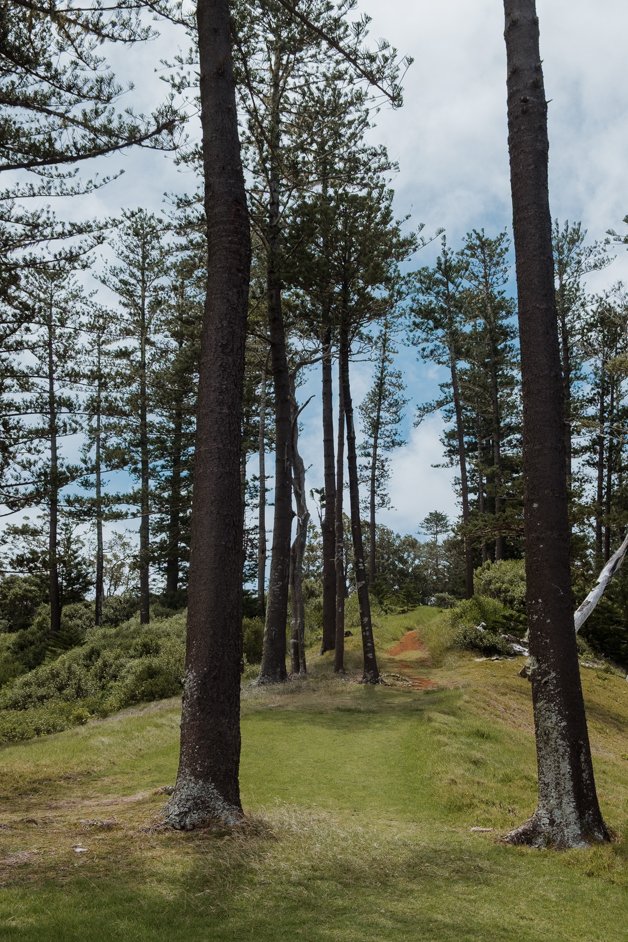 jana meerman norfolk island australia-230