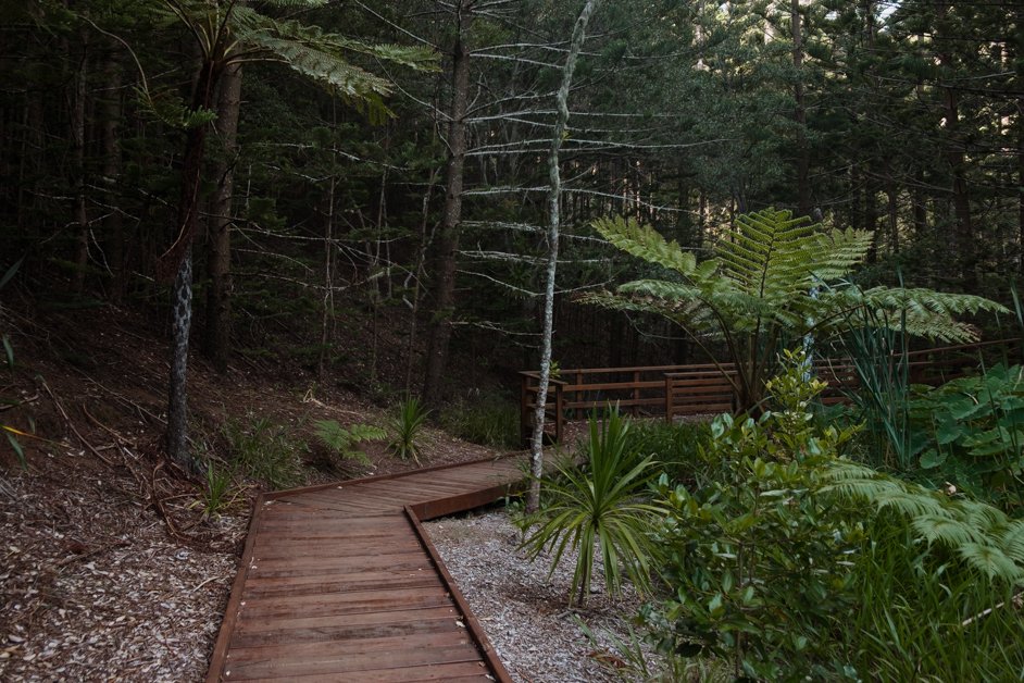 jana meerman norfolk island australia-33