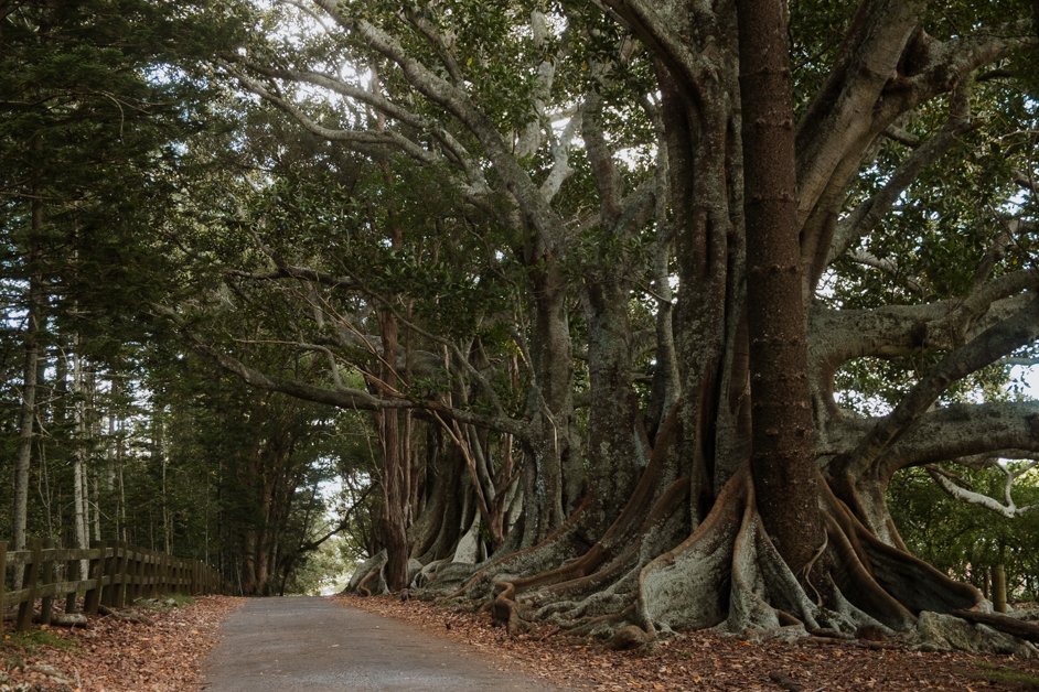 jana meerman norfolk island australia-41