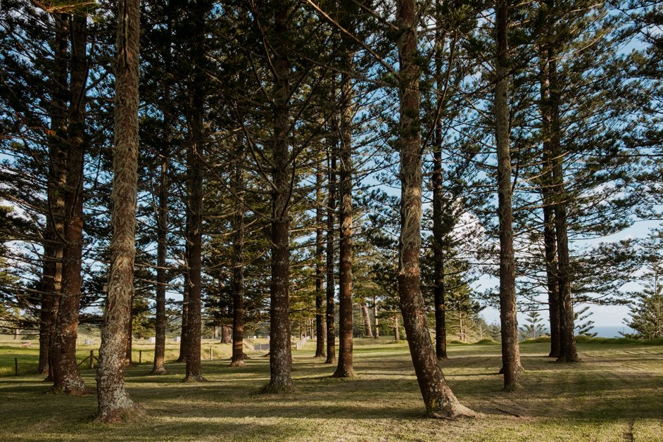 jana meerman norfolk island australia-46