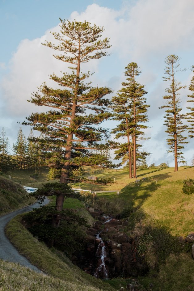 jana meerman norfolk island australia-51