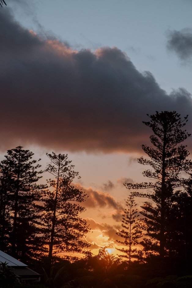 jana meerman norfolk island australia-65
