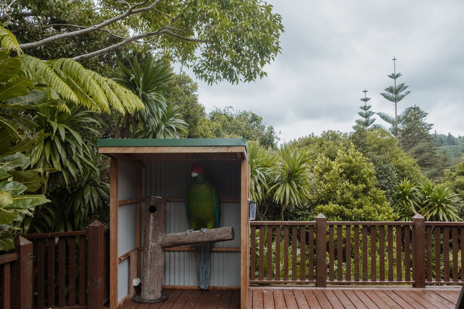 jana meerman norfolk island australia-92
