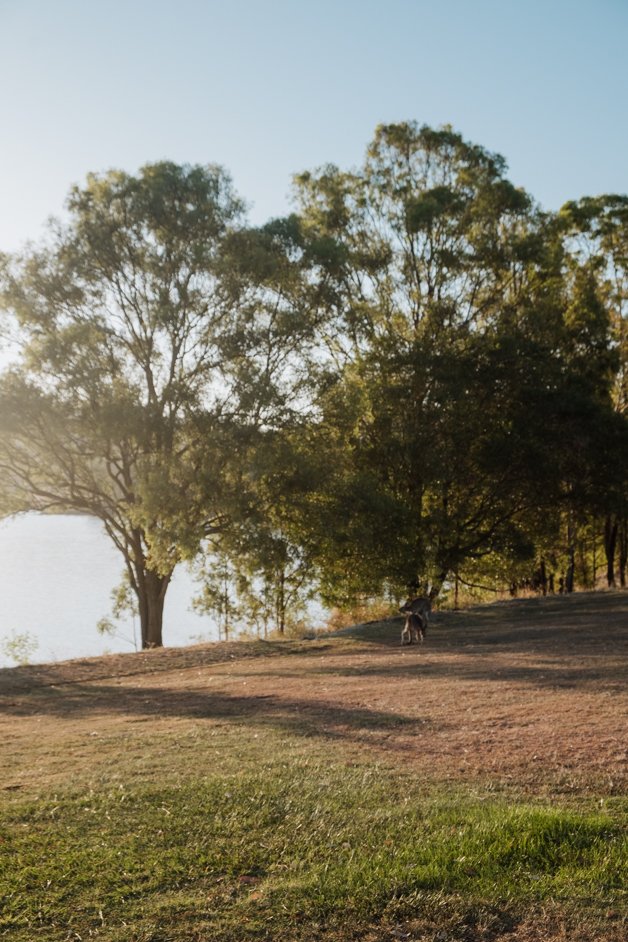 jana meerman nrma lake somerset australia-3