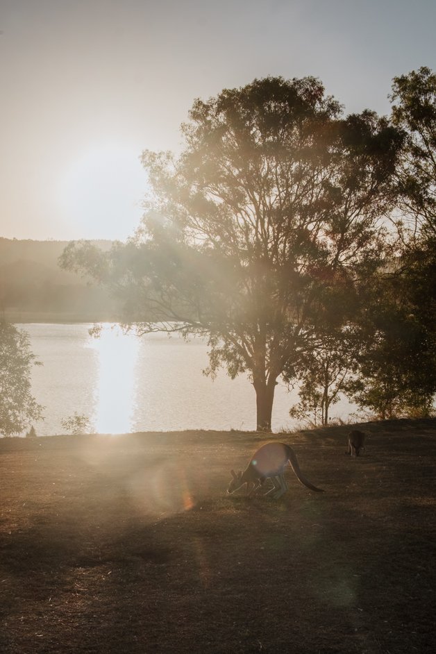 jana meerman nrma lake somerset australia-3