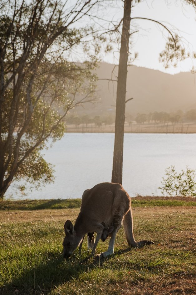 jana meerman nrma lake somerset australia-3