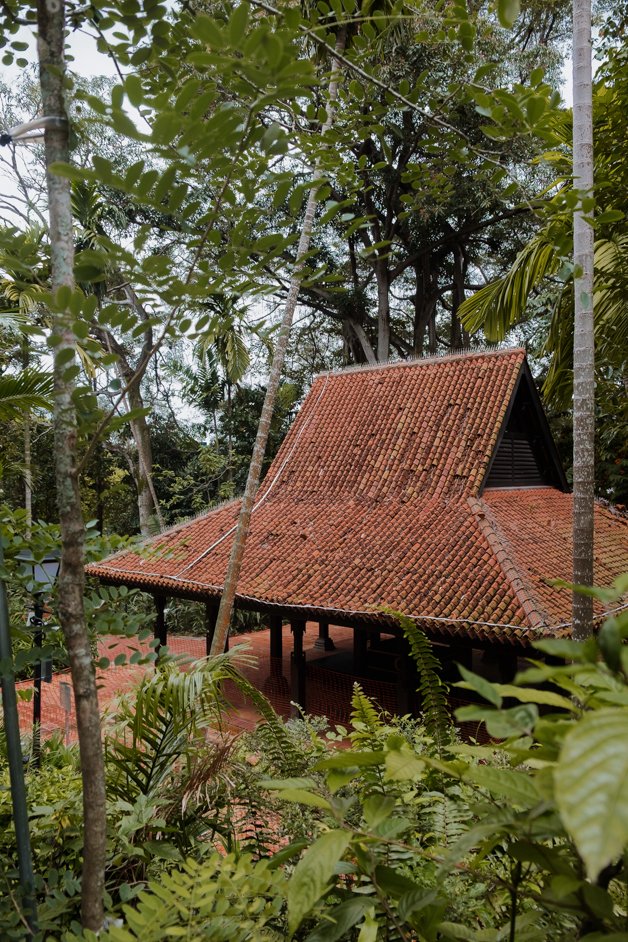 jana meerman singapore-026