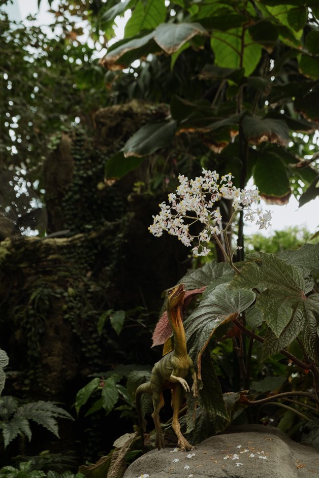 jana meerman singapore-042