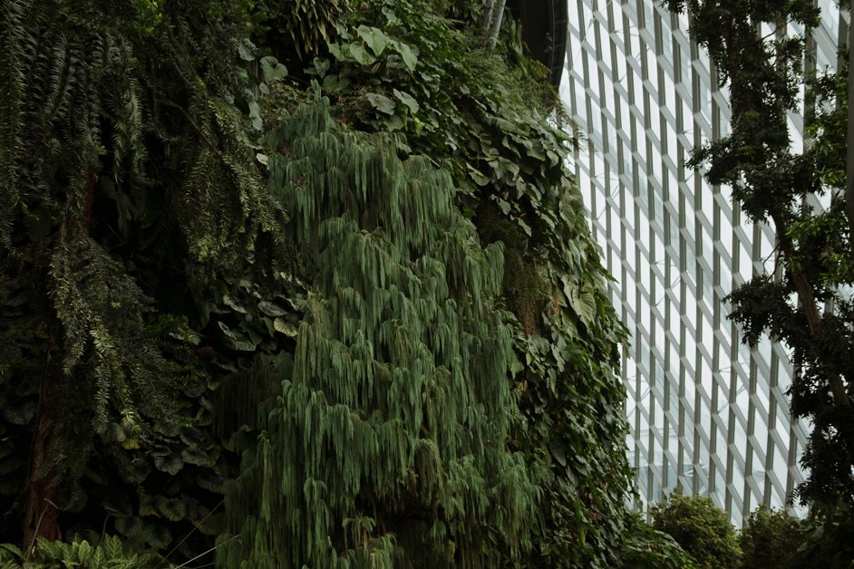 jana meerman singapore-042