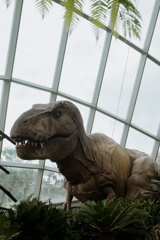 jana meerman singapore-042