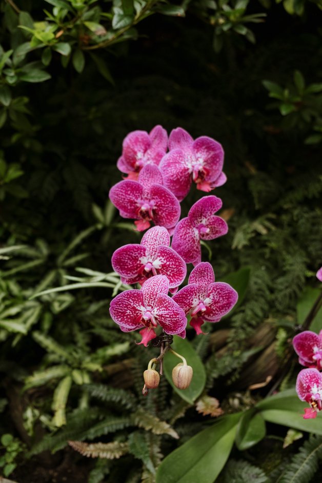 jana meerman singapore-042