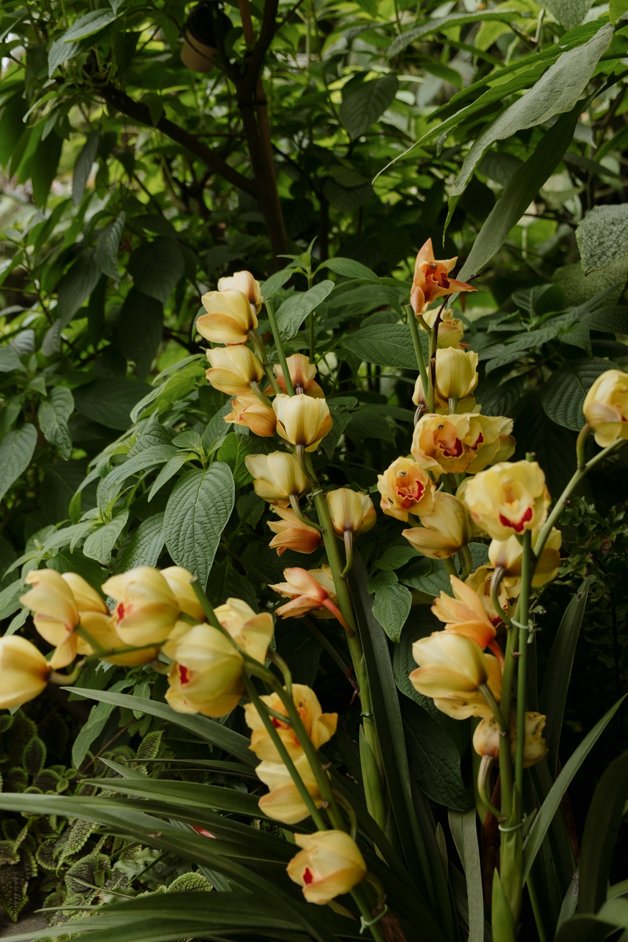 jana meerman singapore-042