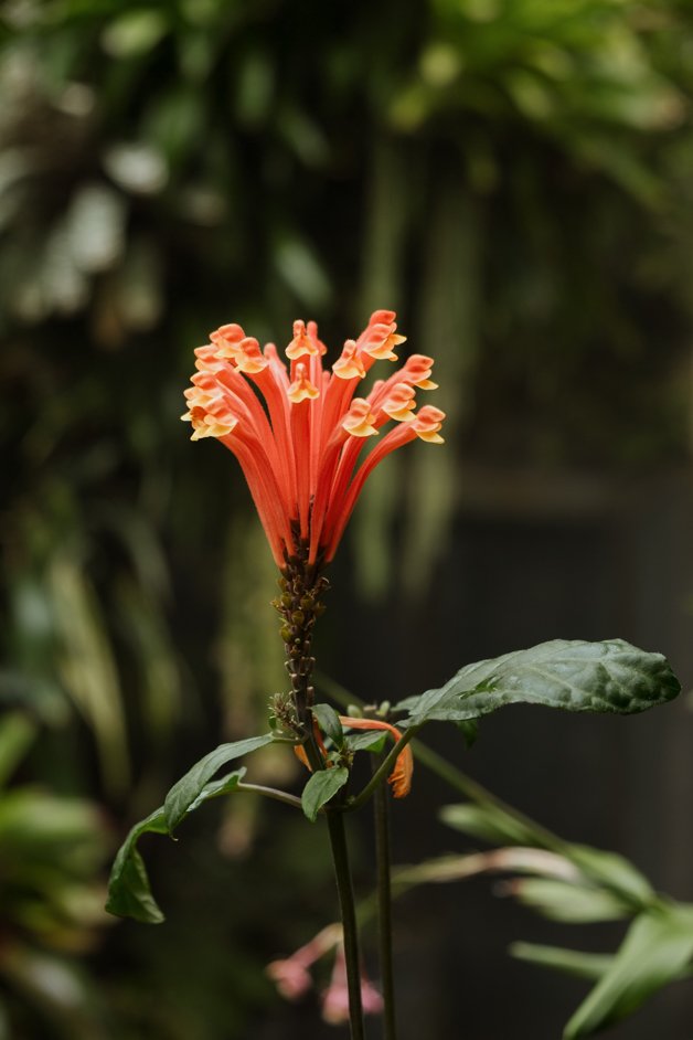 jana meerman singapore-042