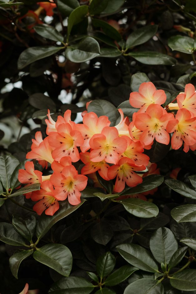 jana meerman singapore-042