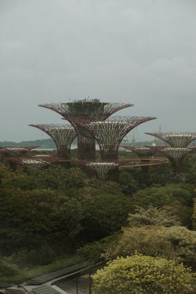 jana meerman singapore-042