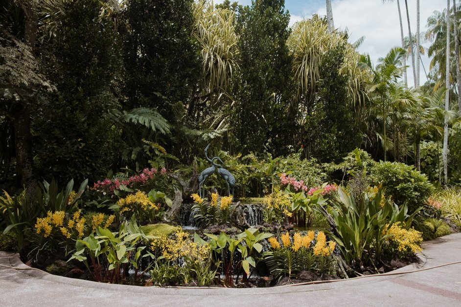 jana meerman singapore-11