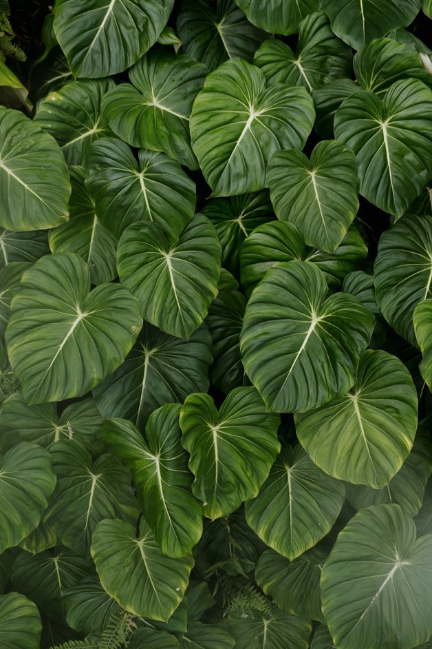 jana meerman singapore-042