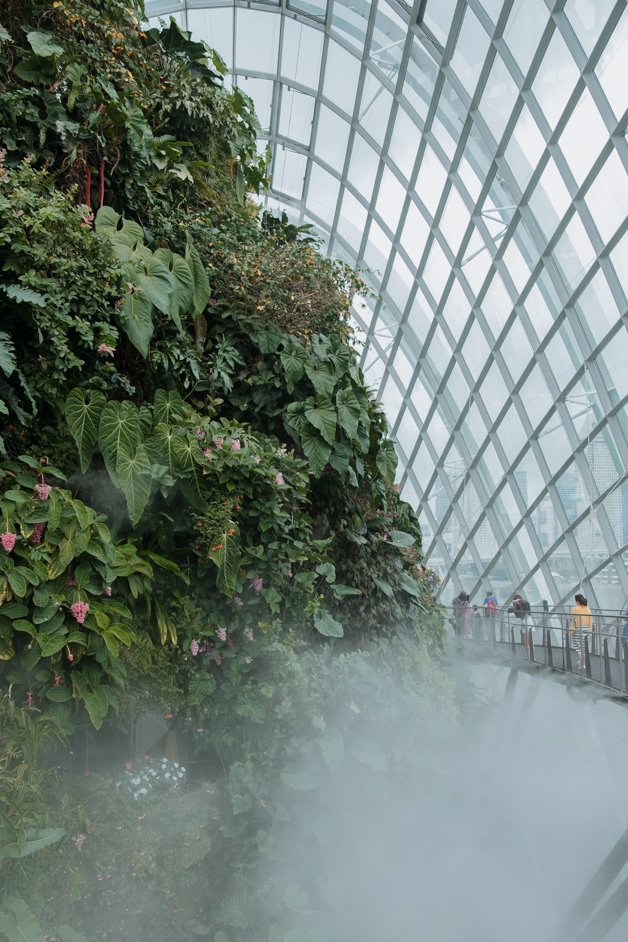 jana meerman singapore-042