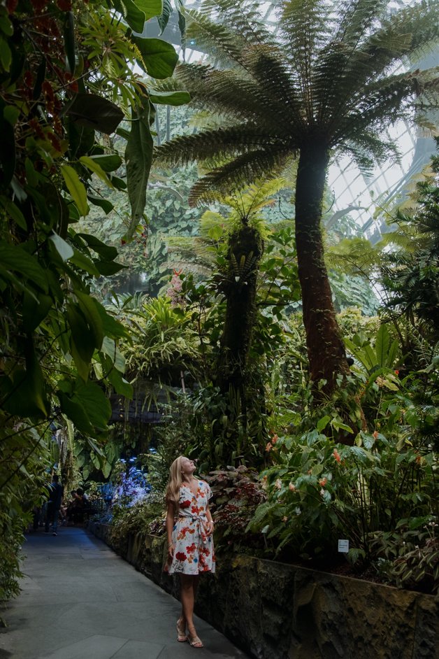 jana meerman singapore-042