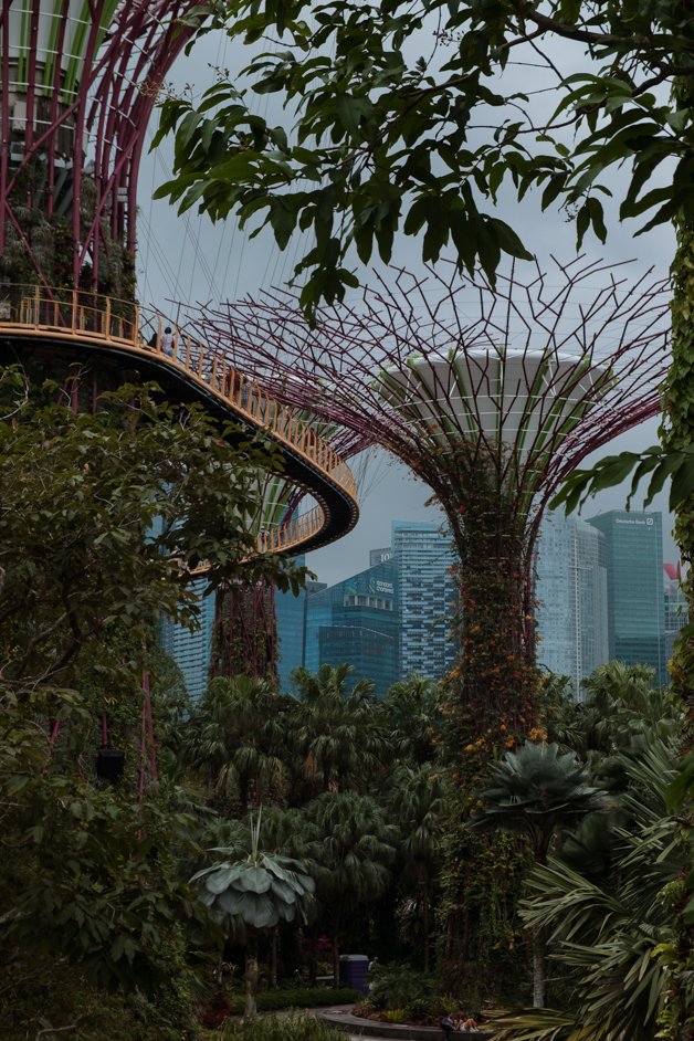 jana meerman singapore-107