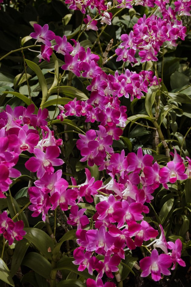 jana meerman singapore-11