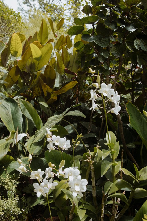 jana meerman singapore-11