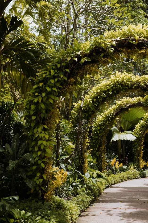 jana meerman singapore-11