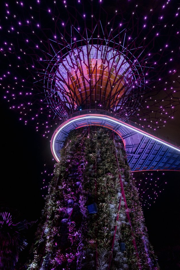 jana meerman singapore-25