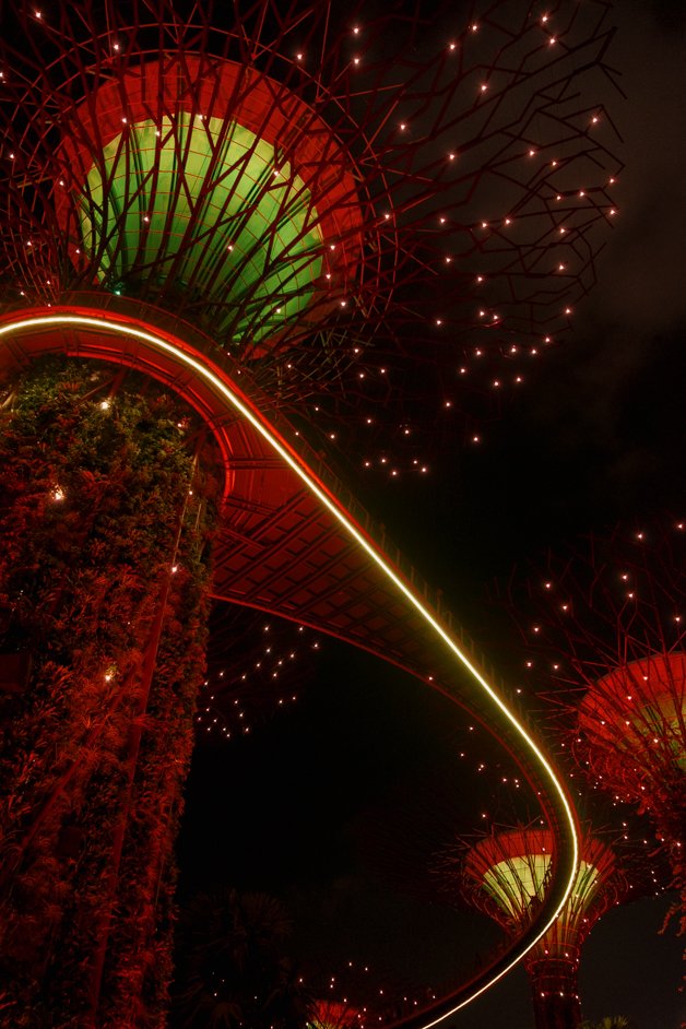 jana meerman singapore-25