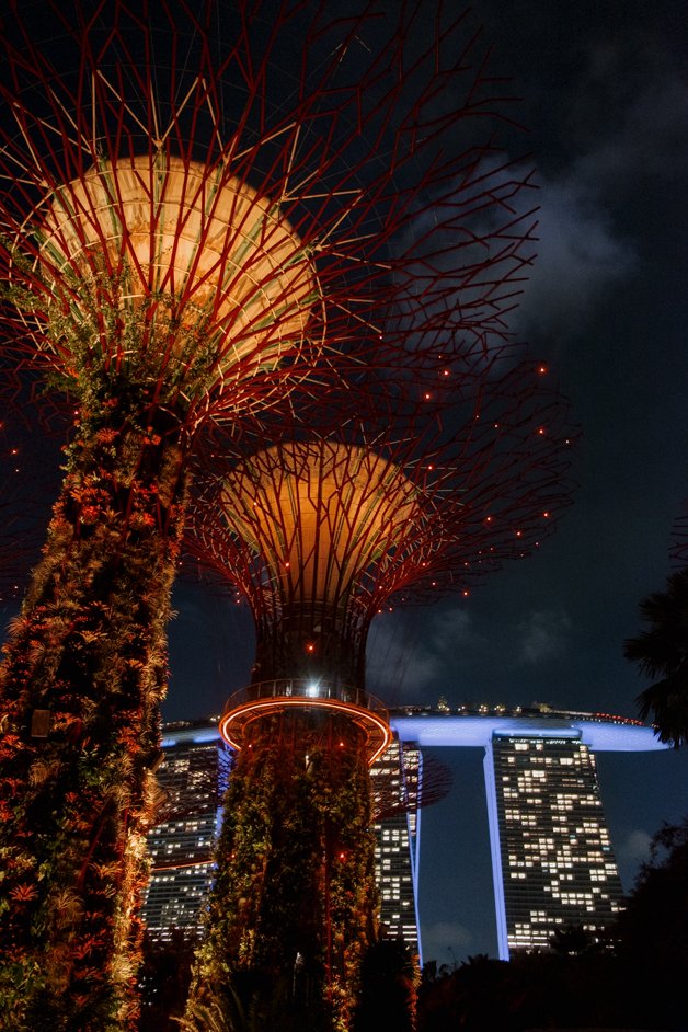 jana meerman singapore-25